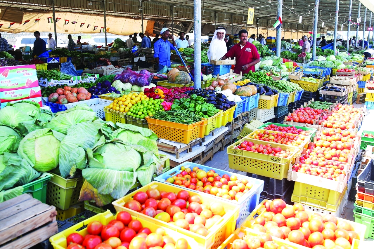 الإمارات تمتلك فائضاً من السلع الغذائية يلبي احتياجات الدولة والأسواق المجاورة